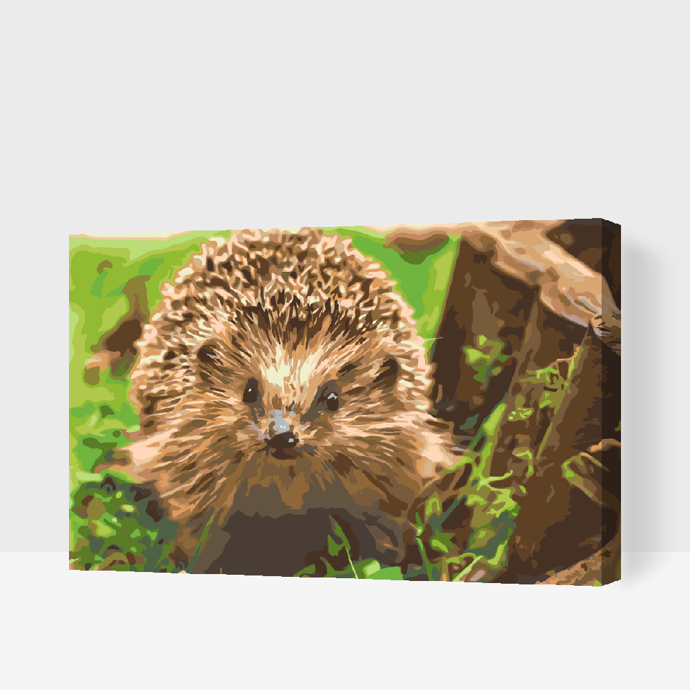 Malování podle čísel - Hedgehog Night Creature